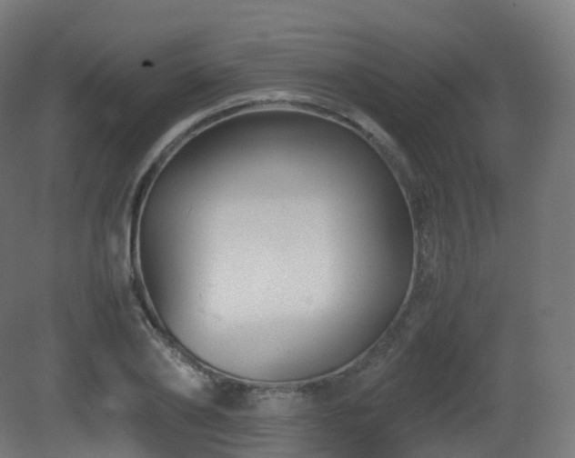 X0000081410886200701121206