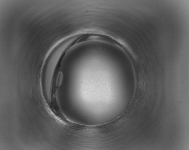 X0000081410888200701121206