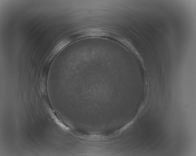 X0000081410889200701121206