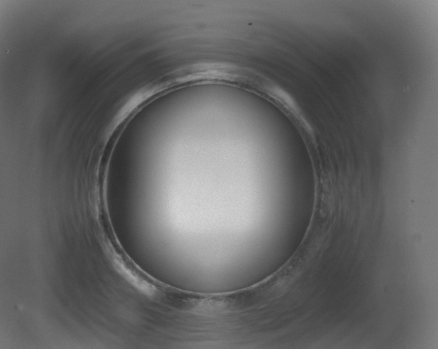 X0000081410890200701121206