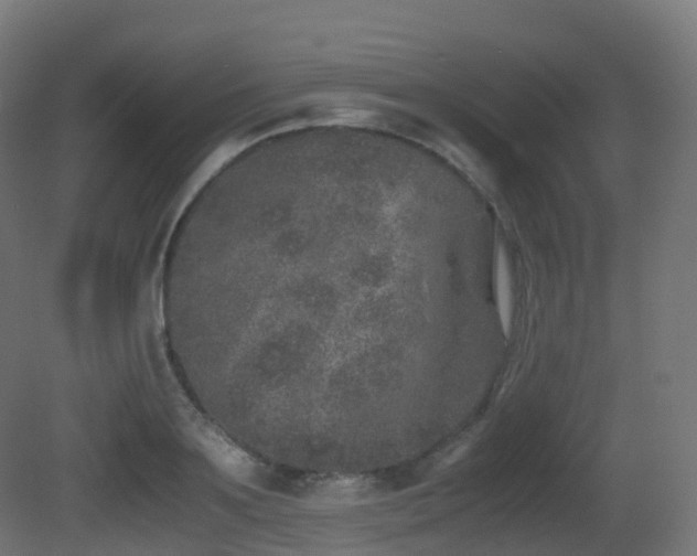 X0000081410891200701121206