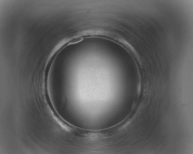 X0000081410894200701121206