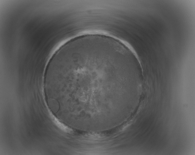 X0000081410895200701121206