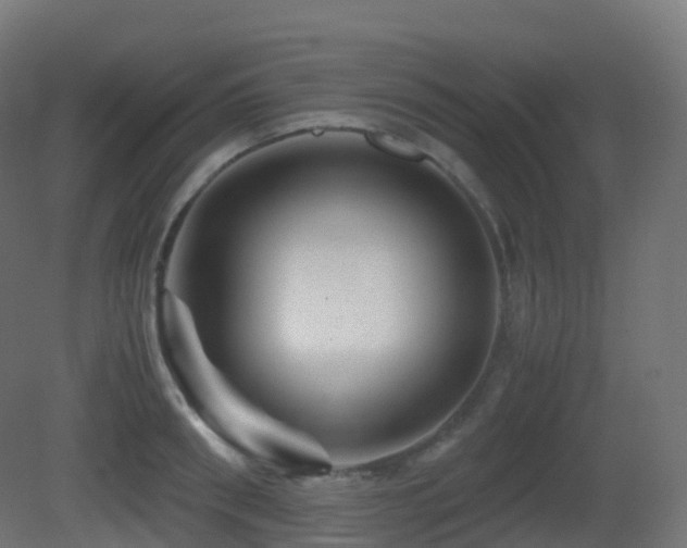 X0000081410898200701121206