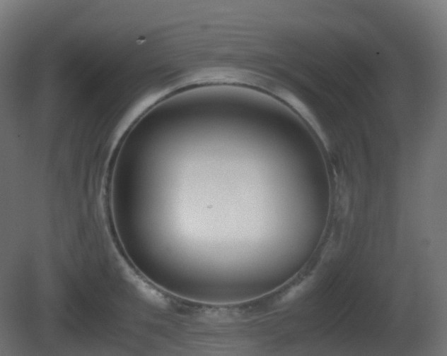 X0000081410901200701121206