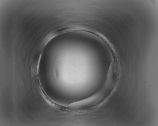 X0000081410905200701121206