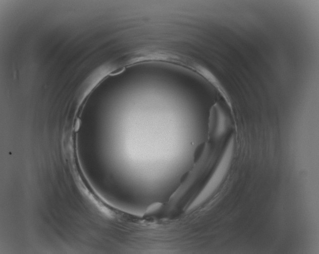 X0000081410906200701121206
