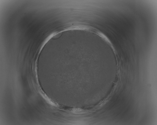 X0000081410907200701121206