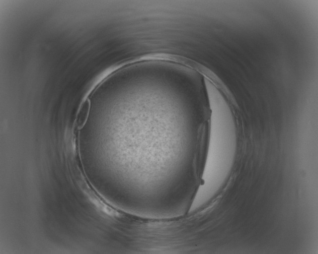 X0000081410908200701121206