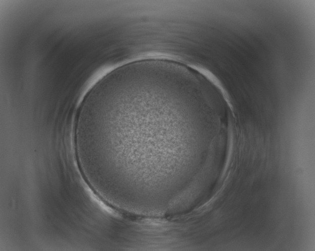 X0000081410910200701121206