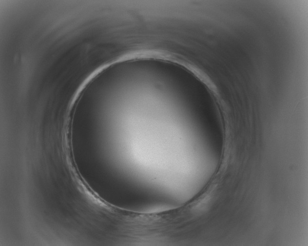 X0000081410912200701121206