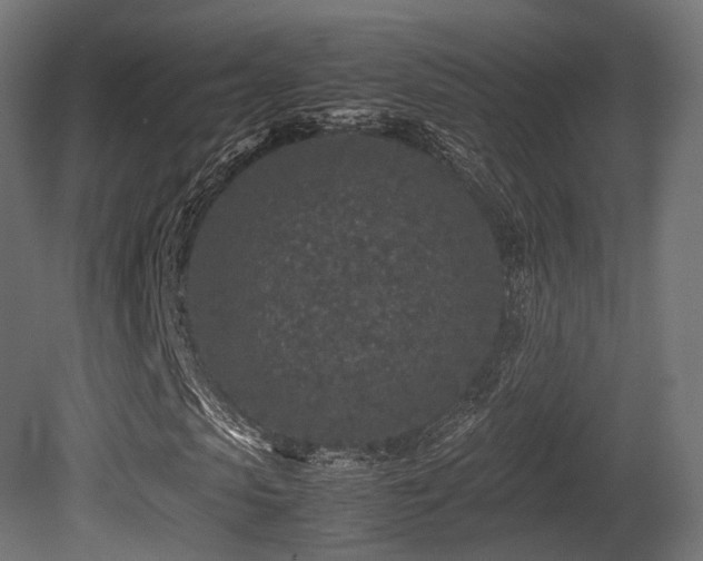 X0000081410913200701121205