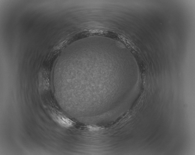 X0000081410916200701121205