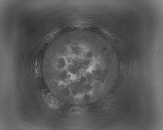 X0000081410917200701121205