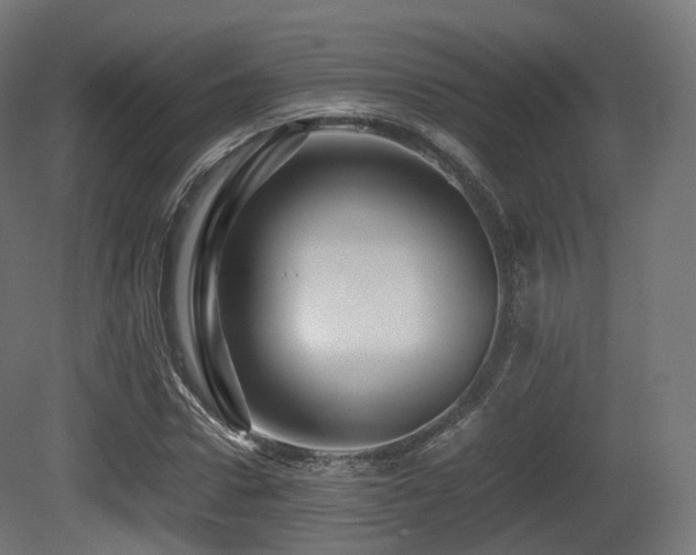 X0000081410922200701121205