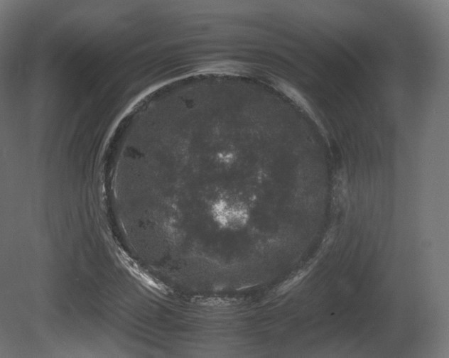 X0000081410923200701121205