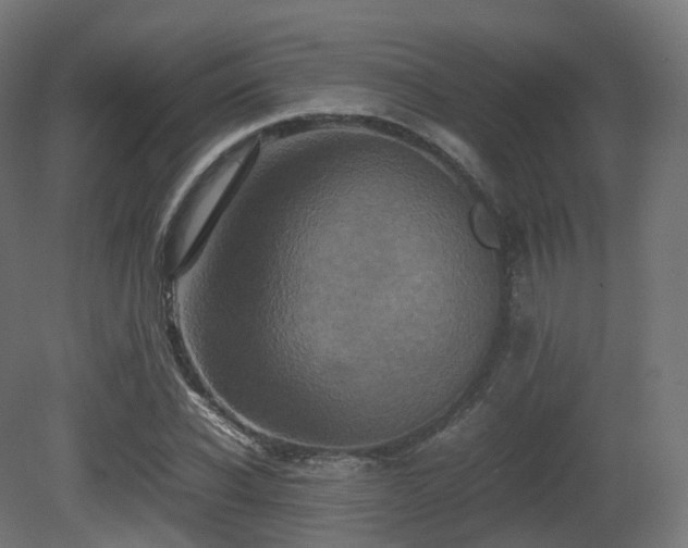 X0000081410926200701121205