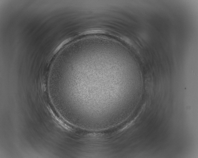 X0000081410929200701121205