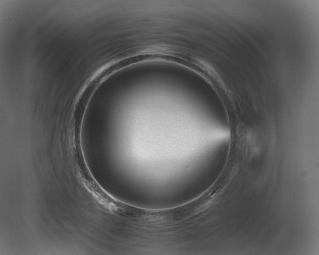X0000081410931200701121205