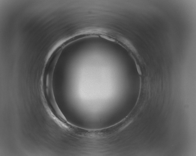 X0000081410936200701121205