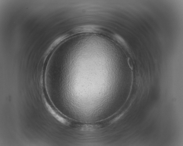 X0000081410938200701121205