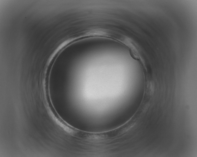 X0000081410947200701121205