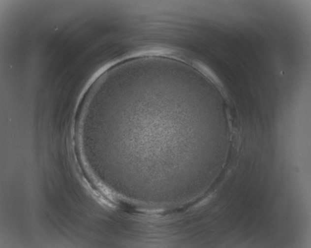 X0000081410948200701121206