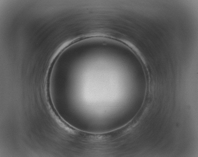 X0000081410949200701121206