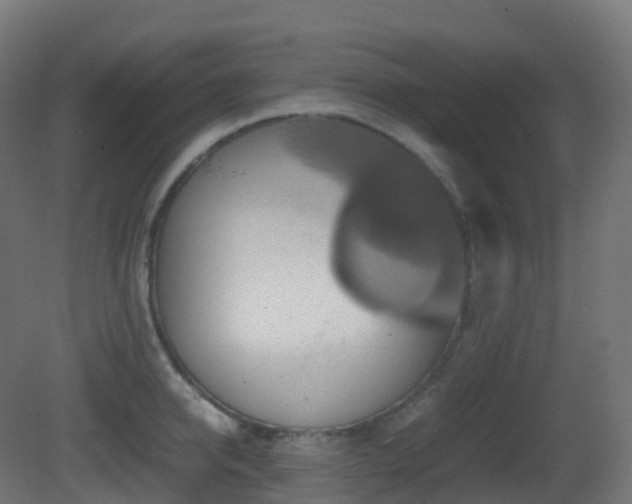 X0000081410950200701121206