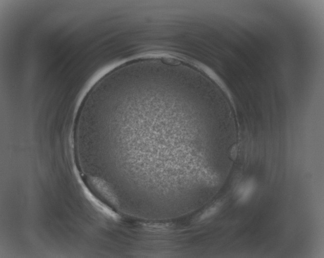 X0000081410951200701121206