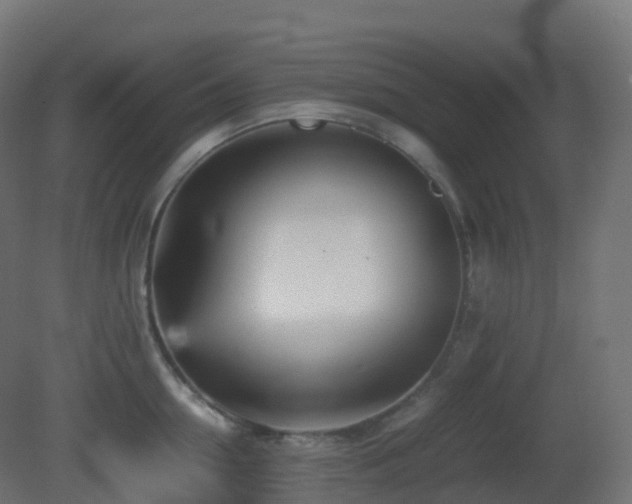 X0000081410954200701121206