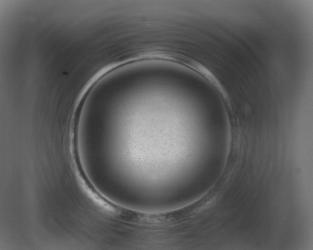 X0000081410955200701121206