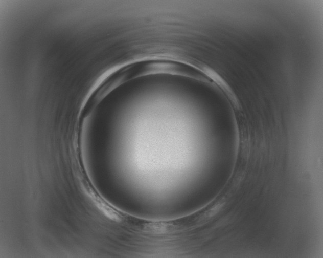 X0000081410956200701121206