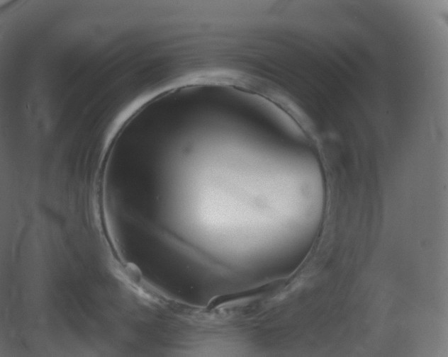 X0000081410960200701121206