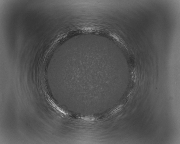 X0000081410961200701121205