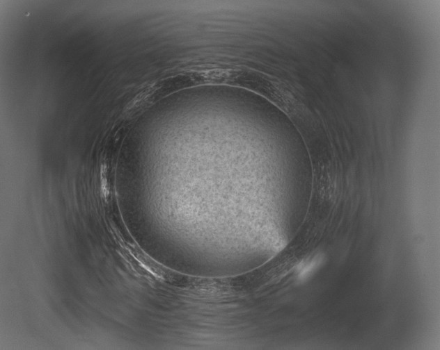 X0000081410962200701121205