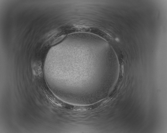 X0000081410963200701121205