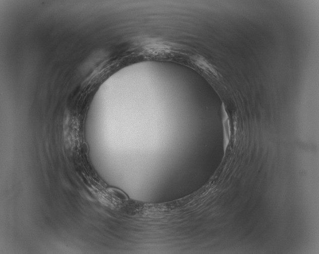 X0000081410964200701121205
