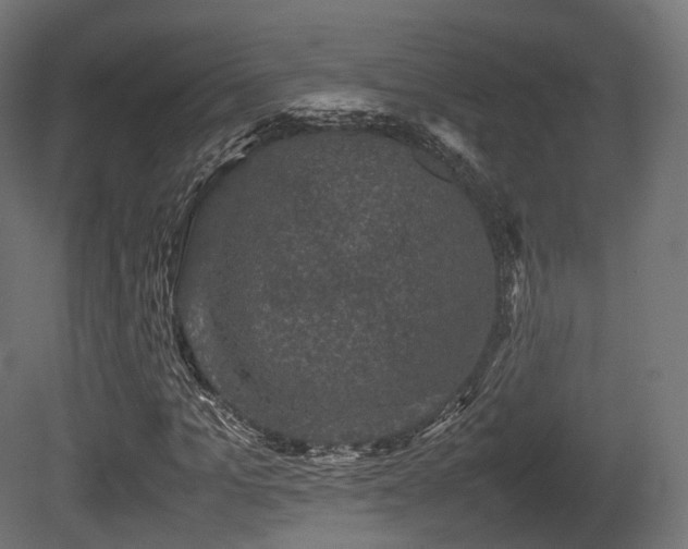 X0000081410965200701121205