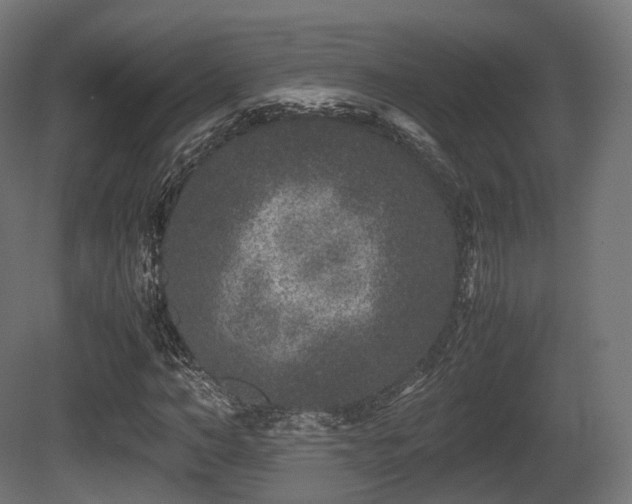 X0000081410966200701121205