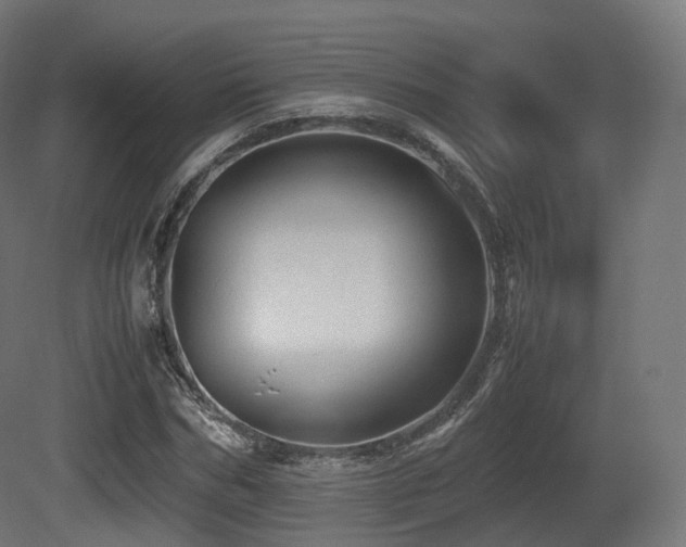 X0000081410970200701121205