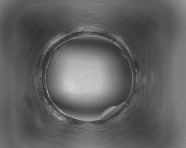 X0000081410971200701121205