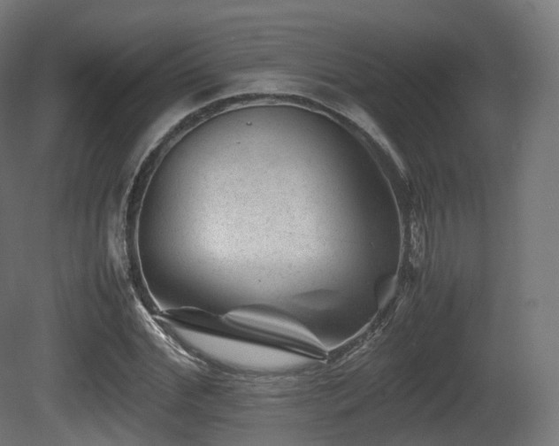 X0000081410972200701121205