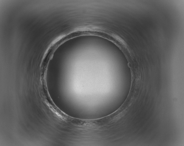 X0000081410974200701121205