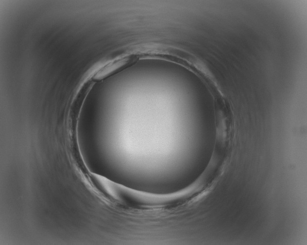 X0000081410981200701121205