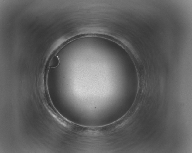 X0000081410982200701121205