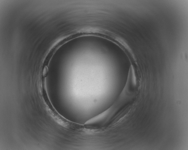 X0000081410984200701121204