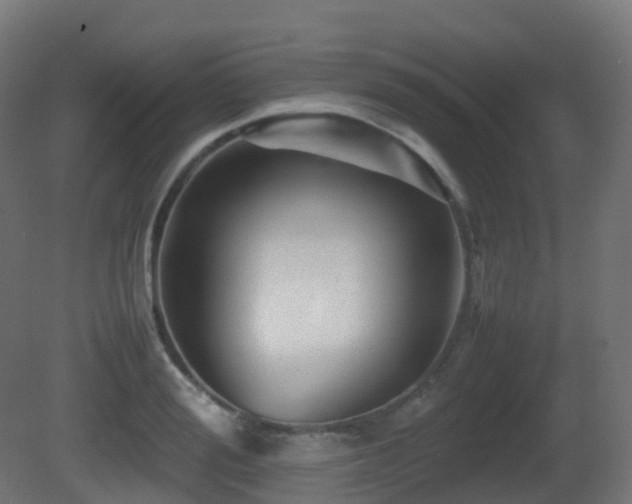 X0000081410988200701121204