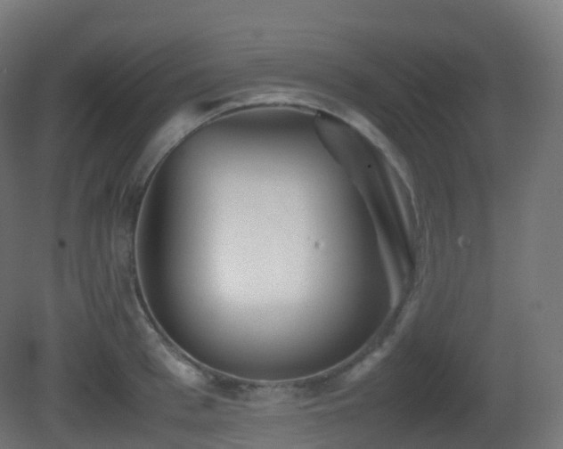 X0000081410993200701121204