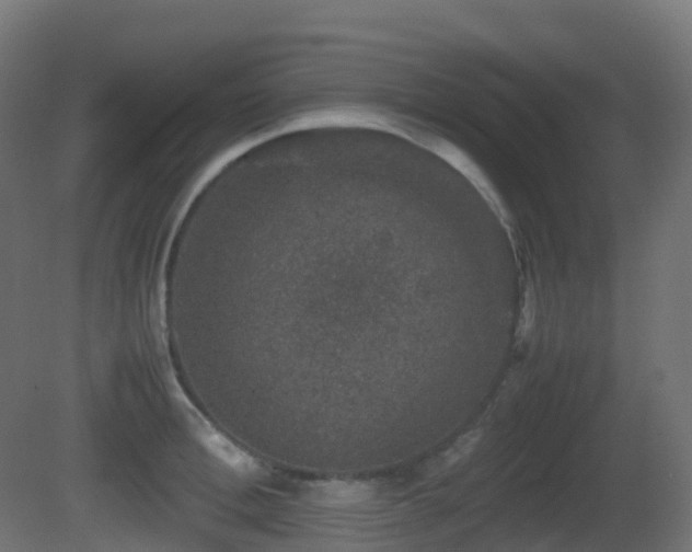 X0000081410996200701121204